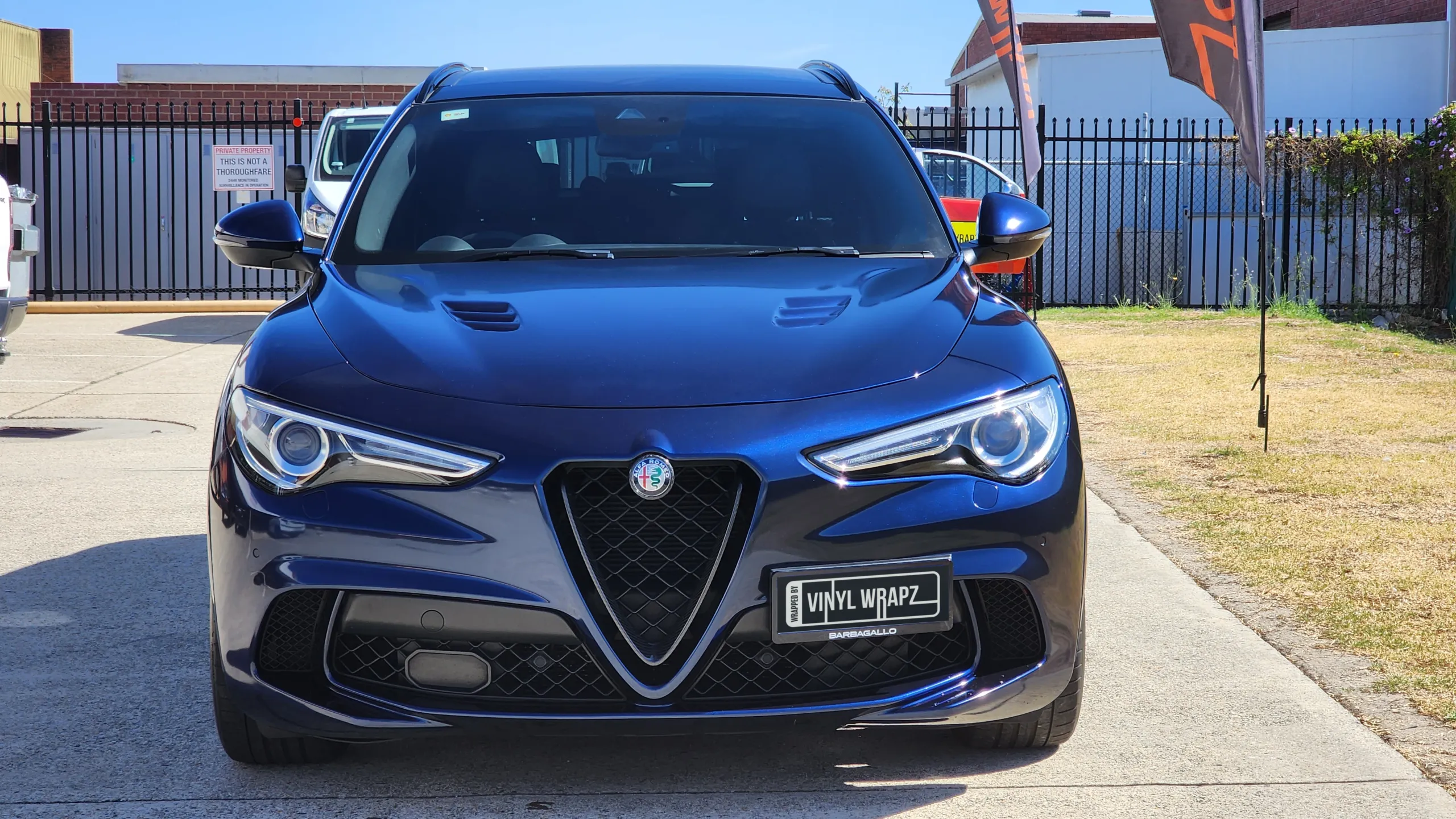 Front view of a blue-black Alfa Romeo Stelvio in sunlight