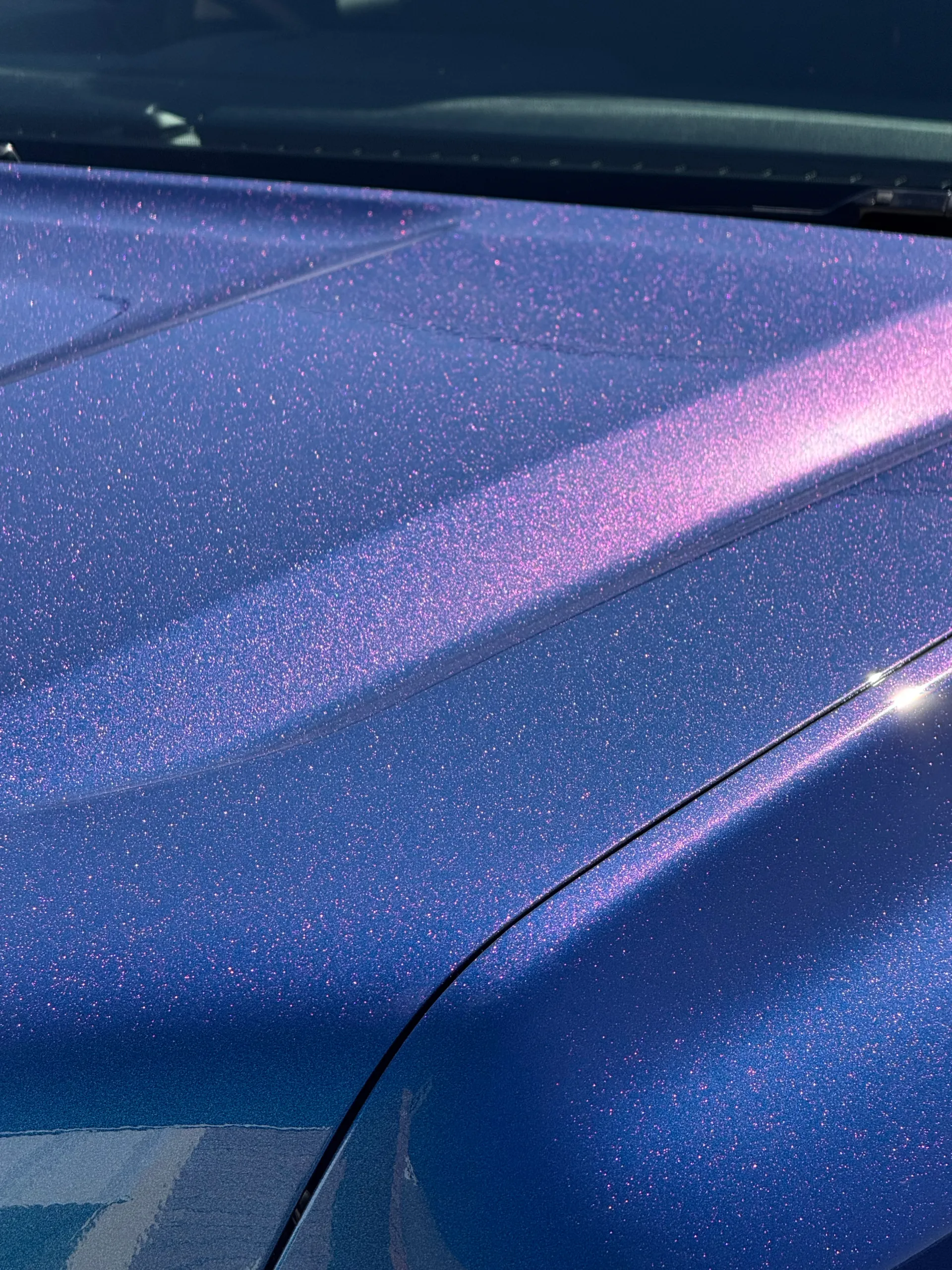 Purple highlights and fine sparkle across the blue Ford Everest bonnet in sunlight