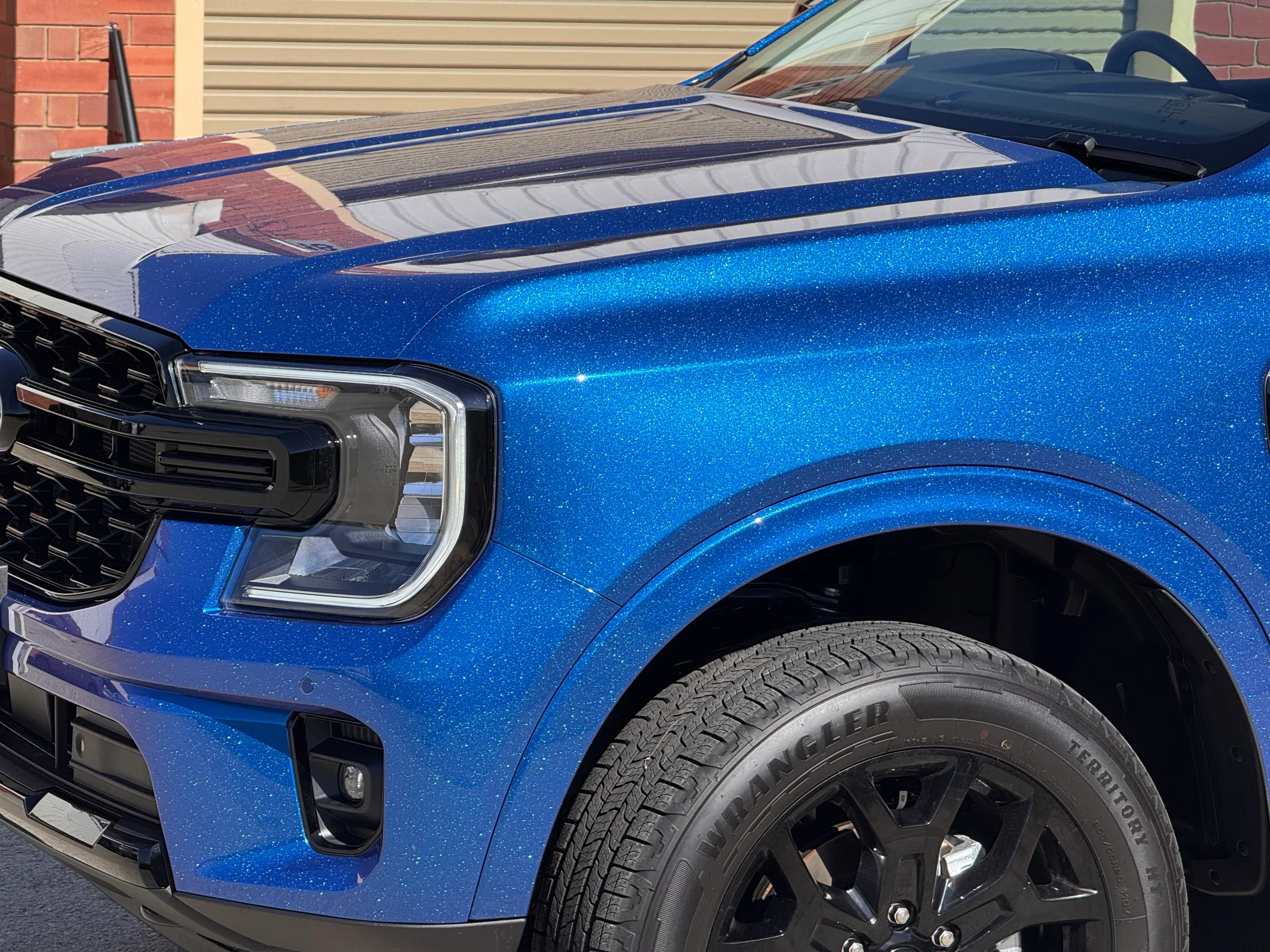 Blue Ford Everest bonnet and front guard sparkling in sunlight