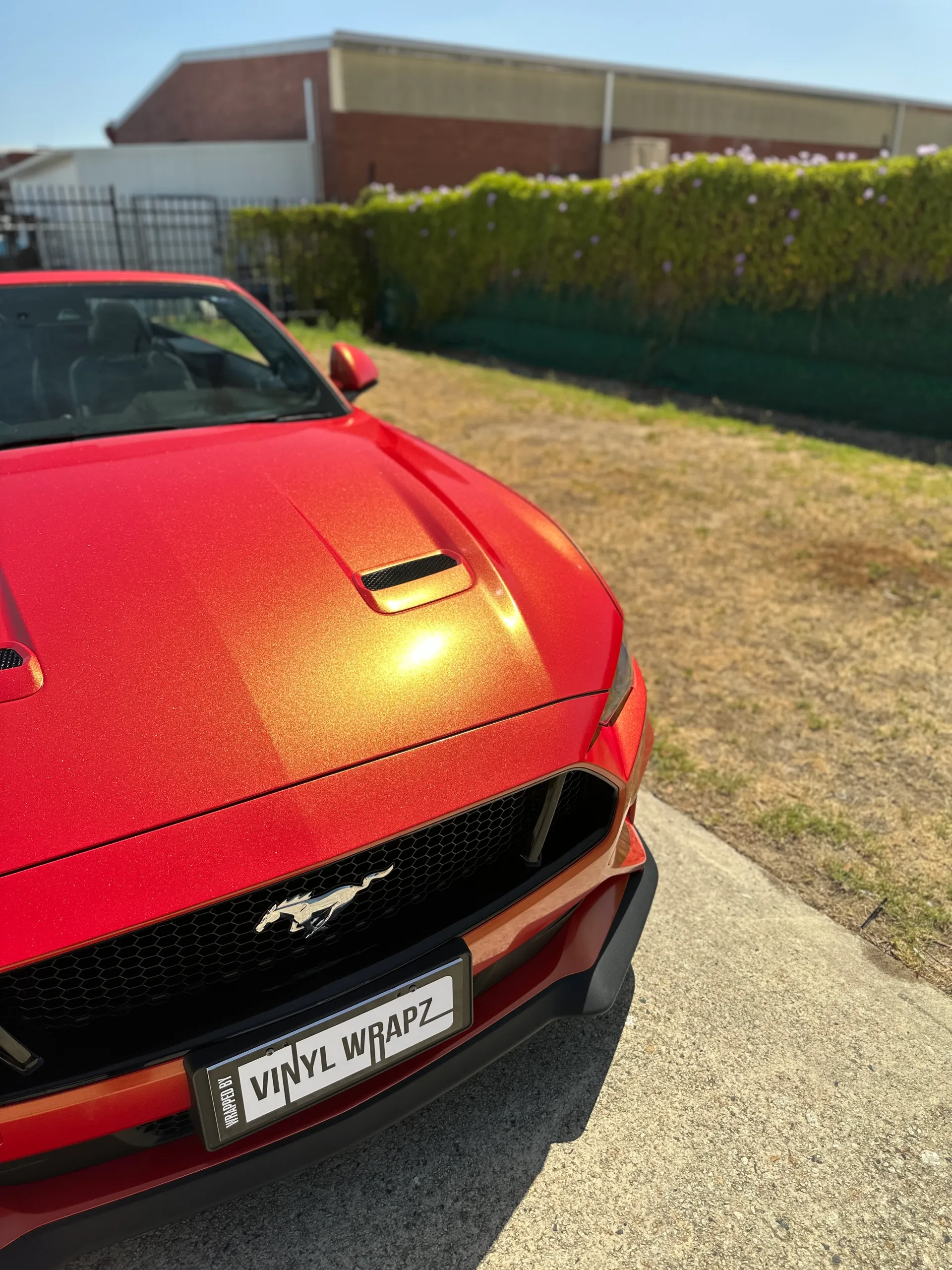 Red and gold colour-shift Ford Mustang convertible, front detail
