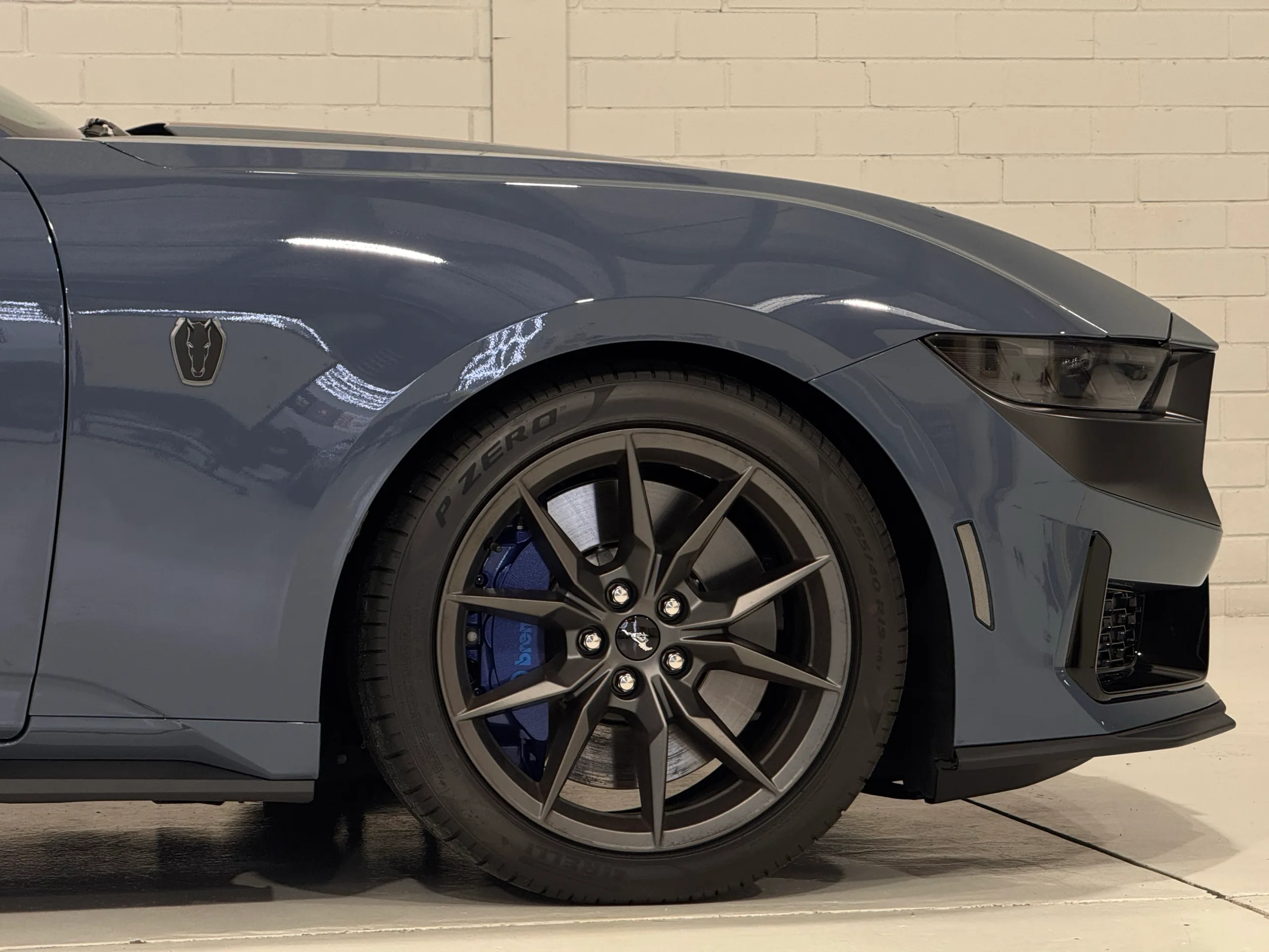 Ford Mustang Dark Horse front wheel, blue brake caliper and guard badge