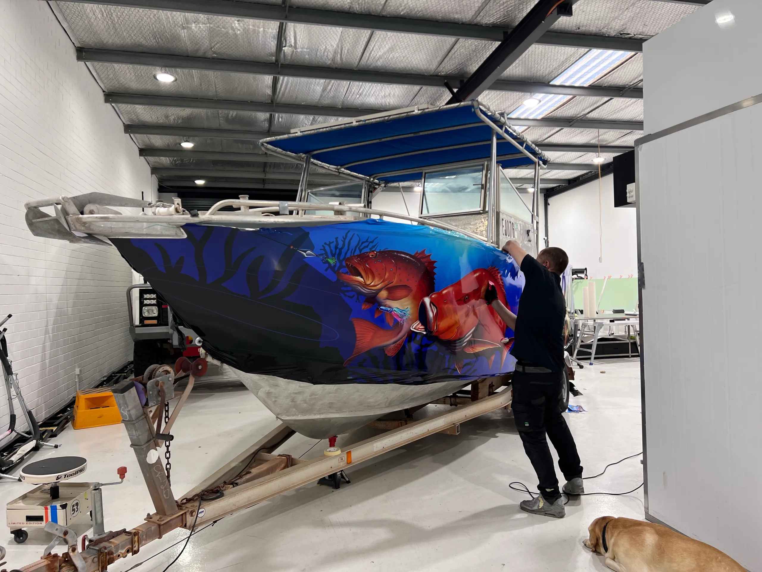 Installer fitting blue fish graphics around the boat bow inside the workshop