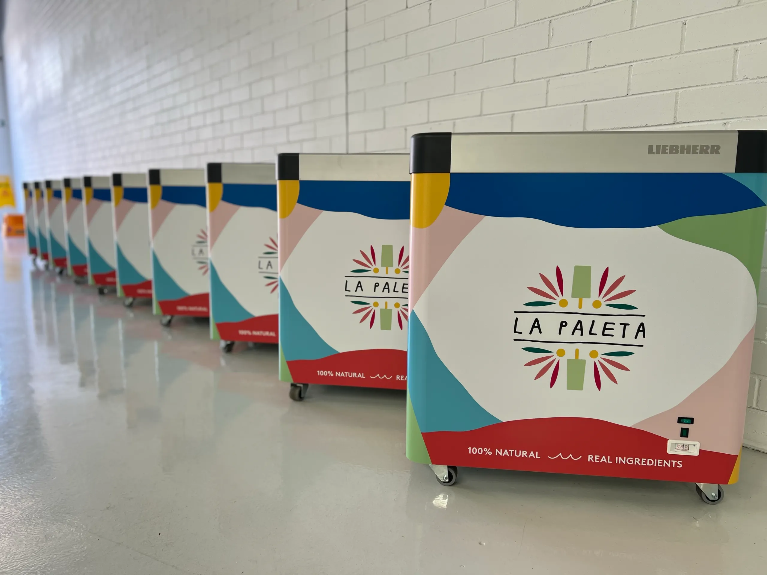 Closer view of the La Paleta freezer fronts