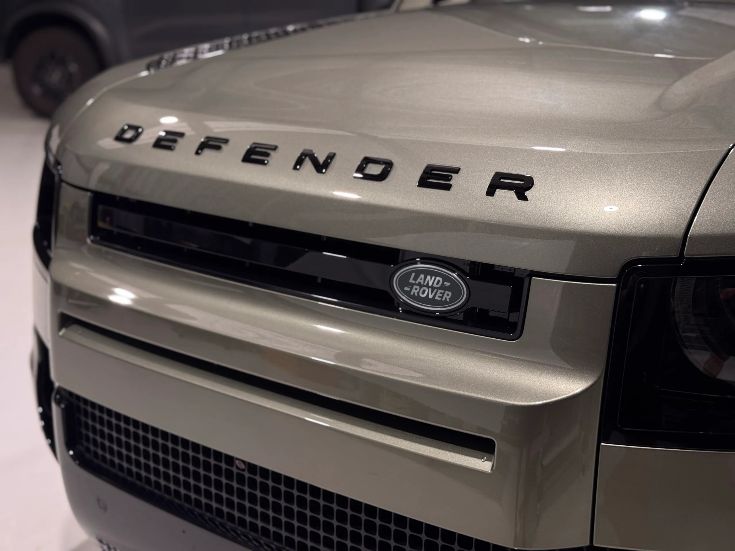 Defender bonnet lettering and Land Rover grille badge on pale green bodywork