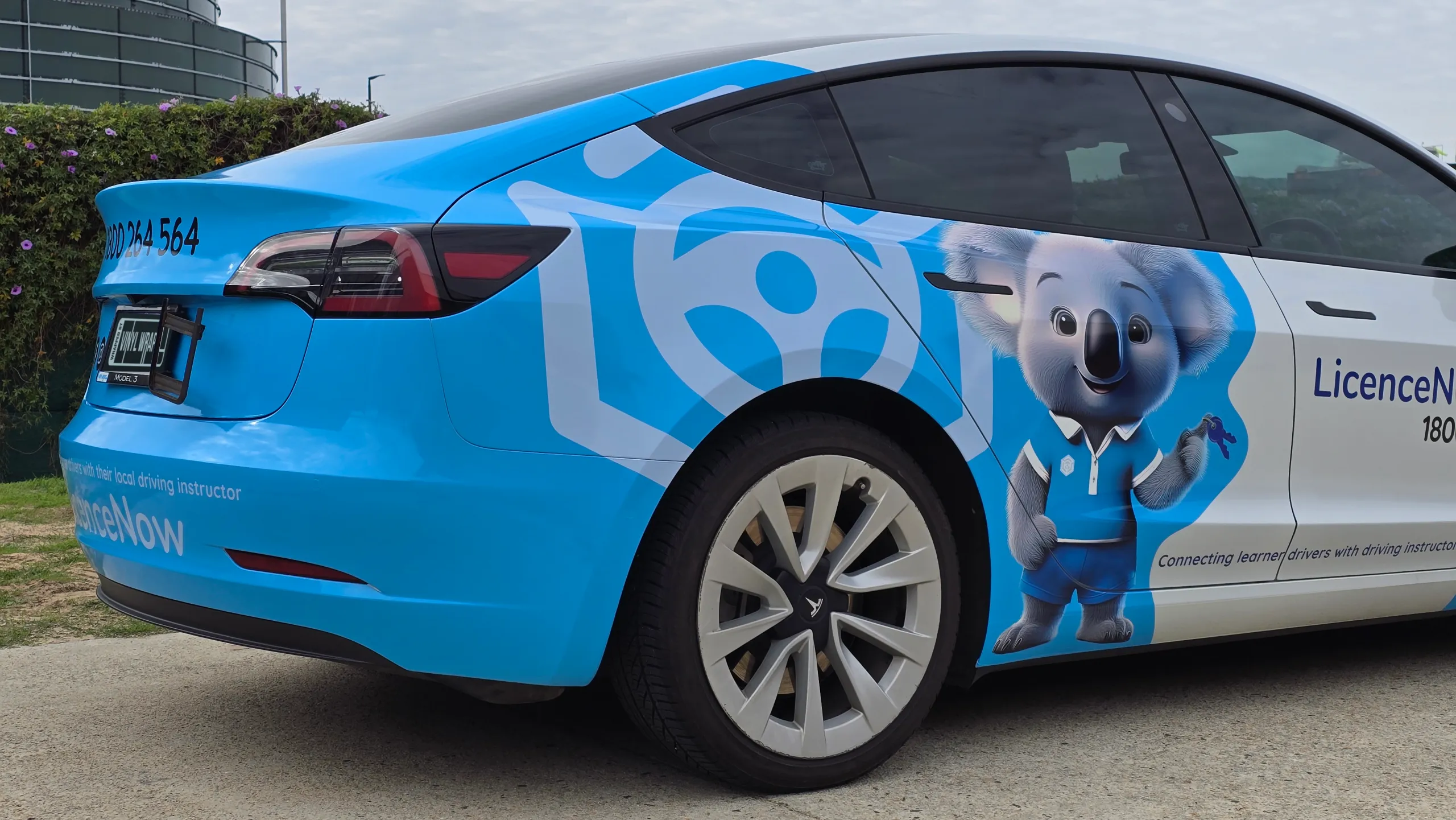 Tesla Model 3 rear quarter with blue LicenceNow graphics and a koala character on the rear door