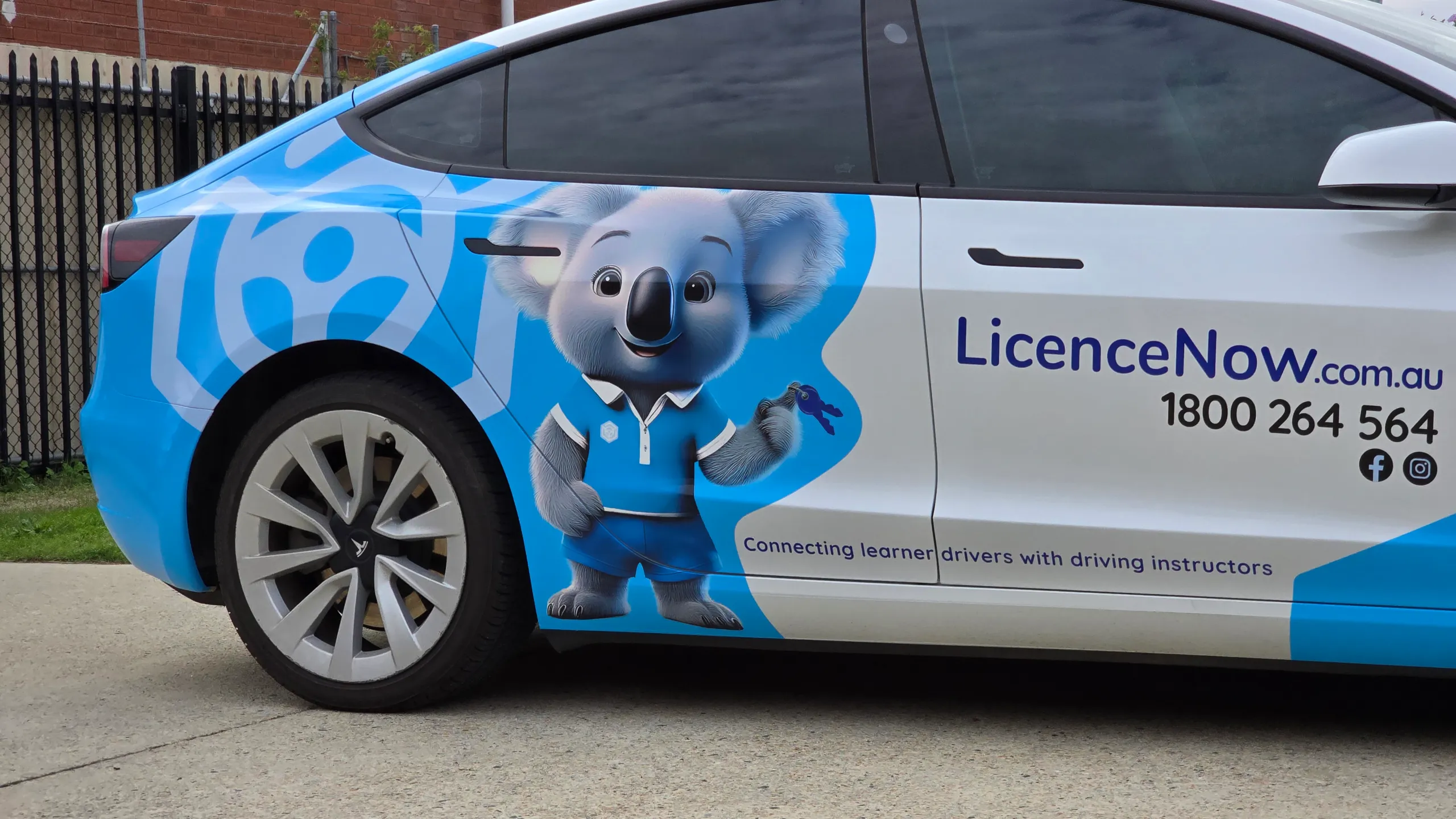 Side detail of a Tesla Model 3 showing the LicenceNow logo and koala character across its doors