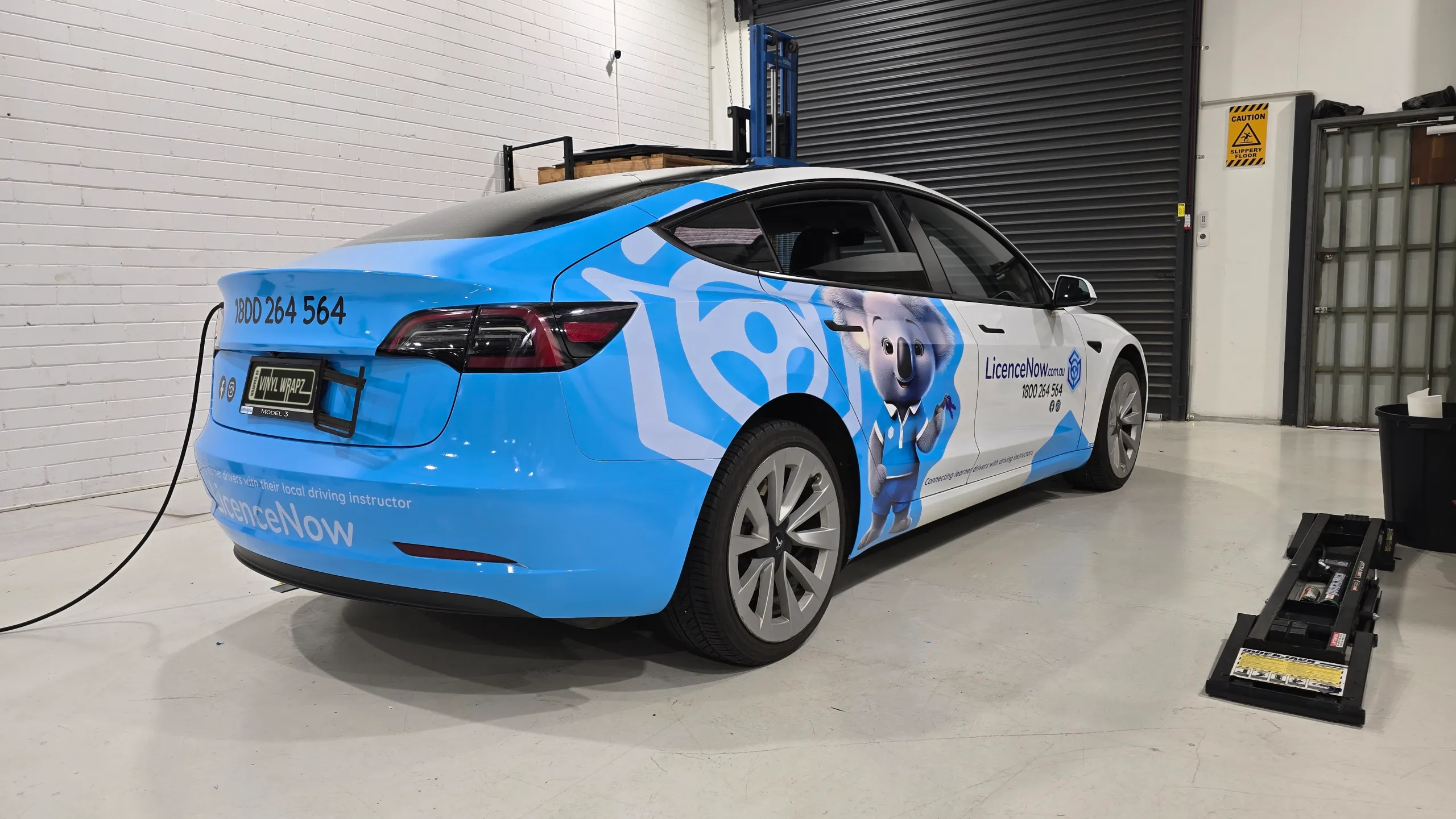 LicenceNow Tesla Model 3 in the workshop, showing the blue rear wrap and koala graphics along the side