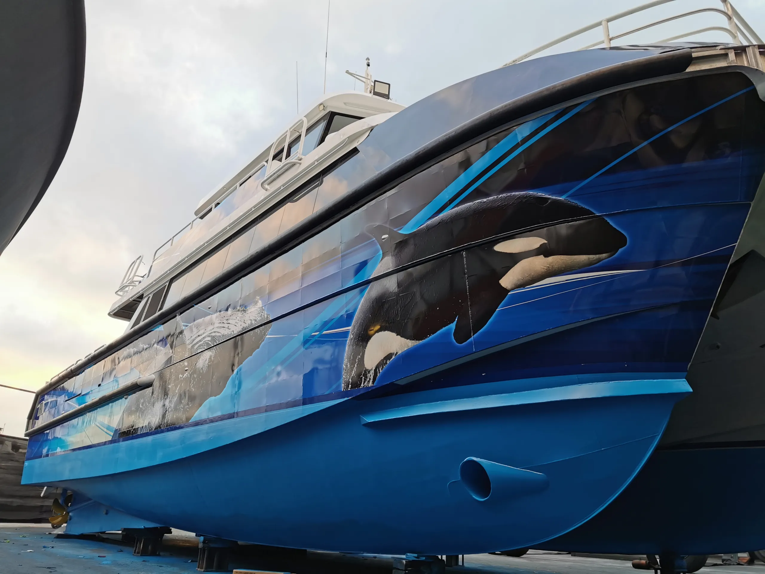 Orca graphics on the bow of the Naturaliste Charters catamaran in a boatyard