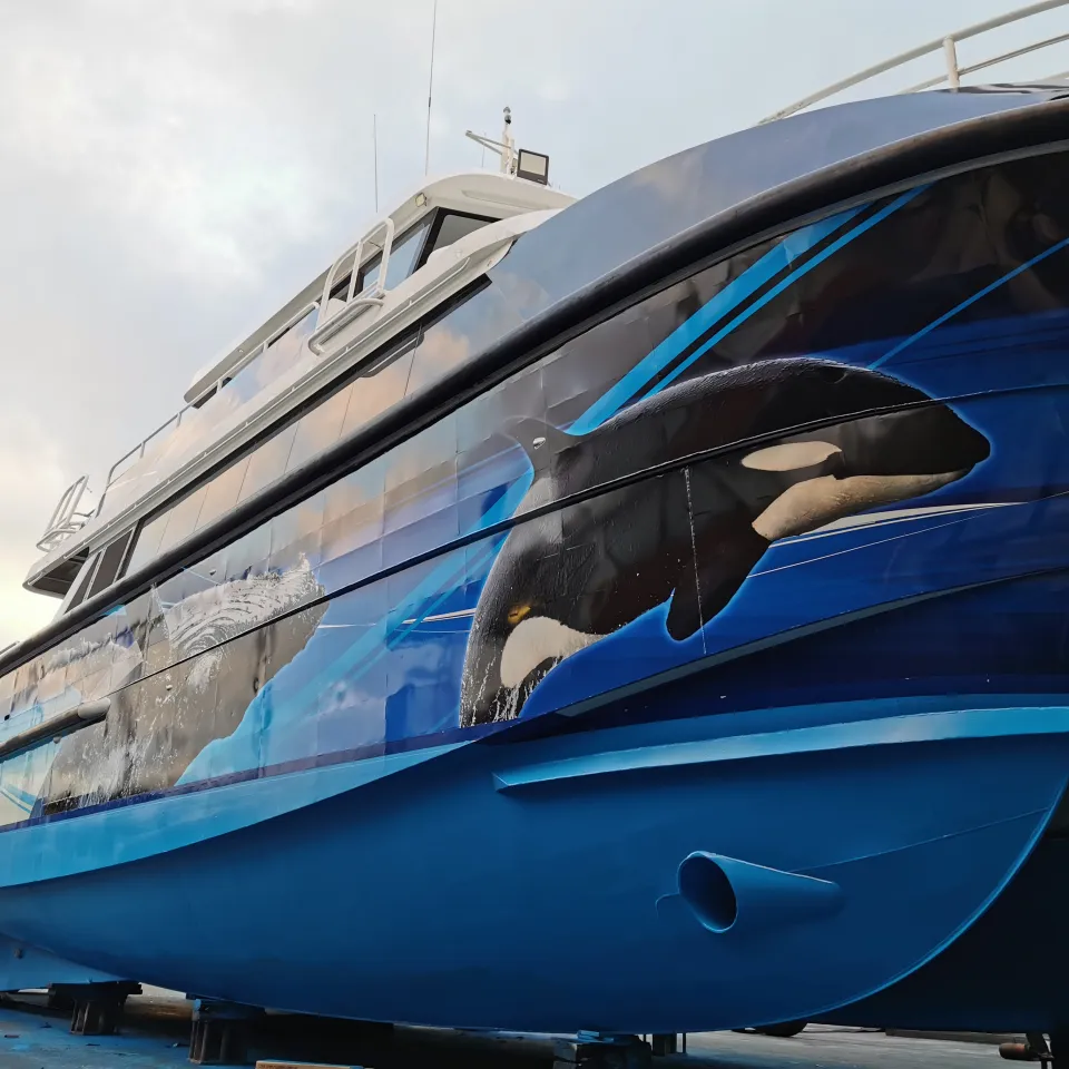 Orca graphics on the bow of the Naturaliste Charters catamaran in a boatyard