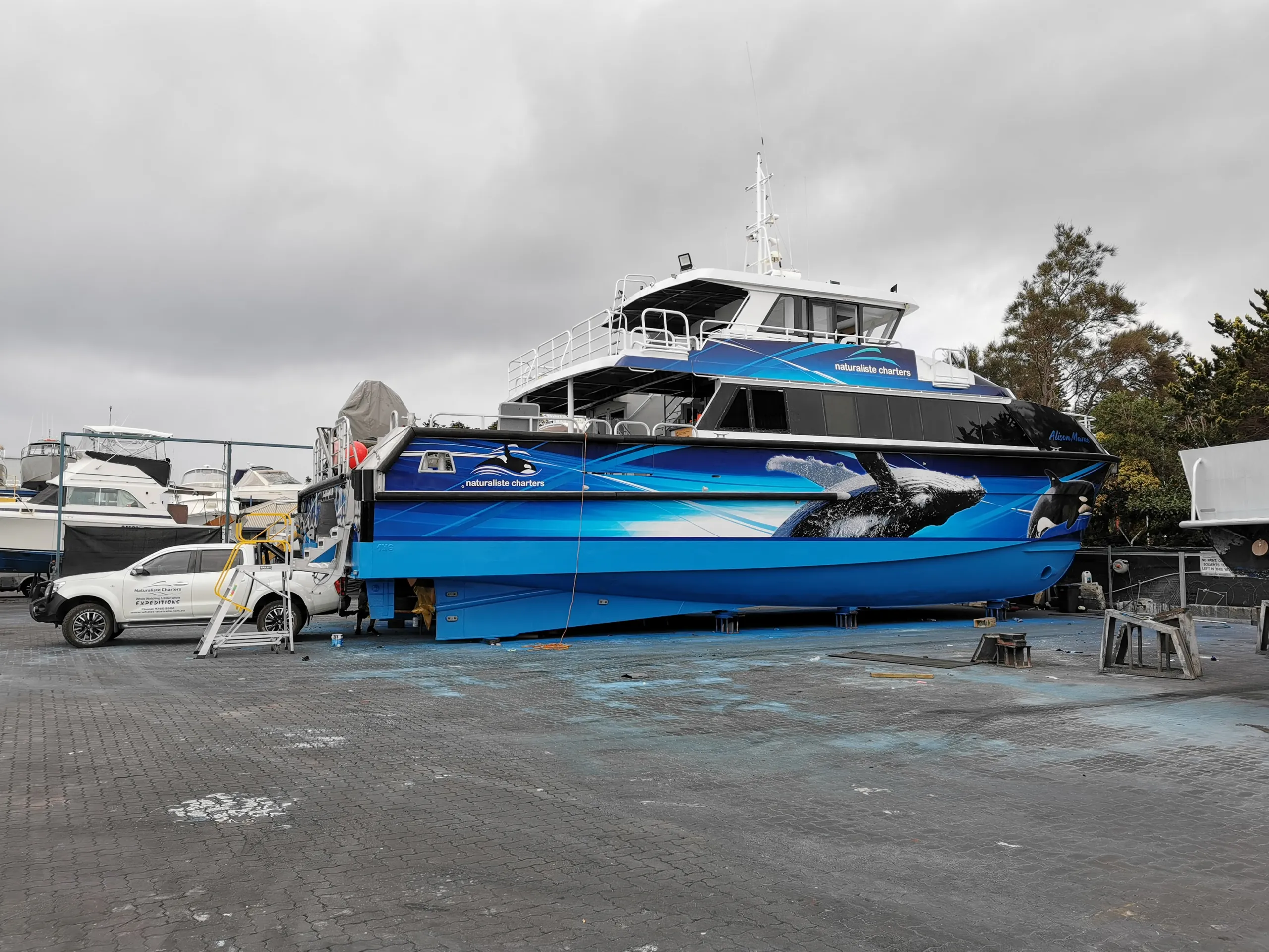 Naturaliste Charters catamaran with blue whale graphics, standing on blocks in a boatyard