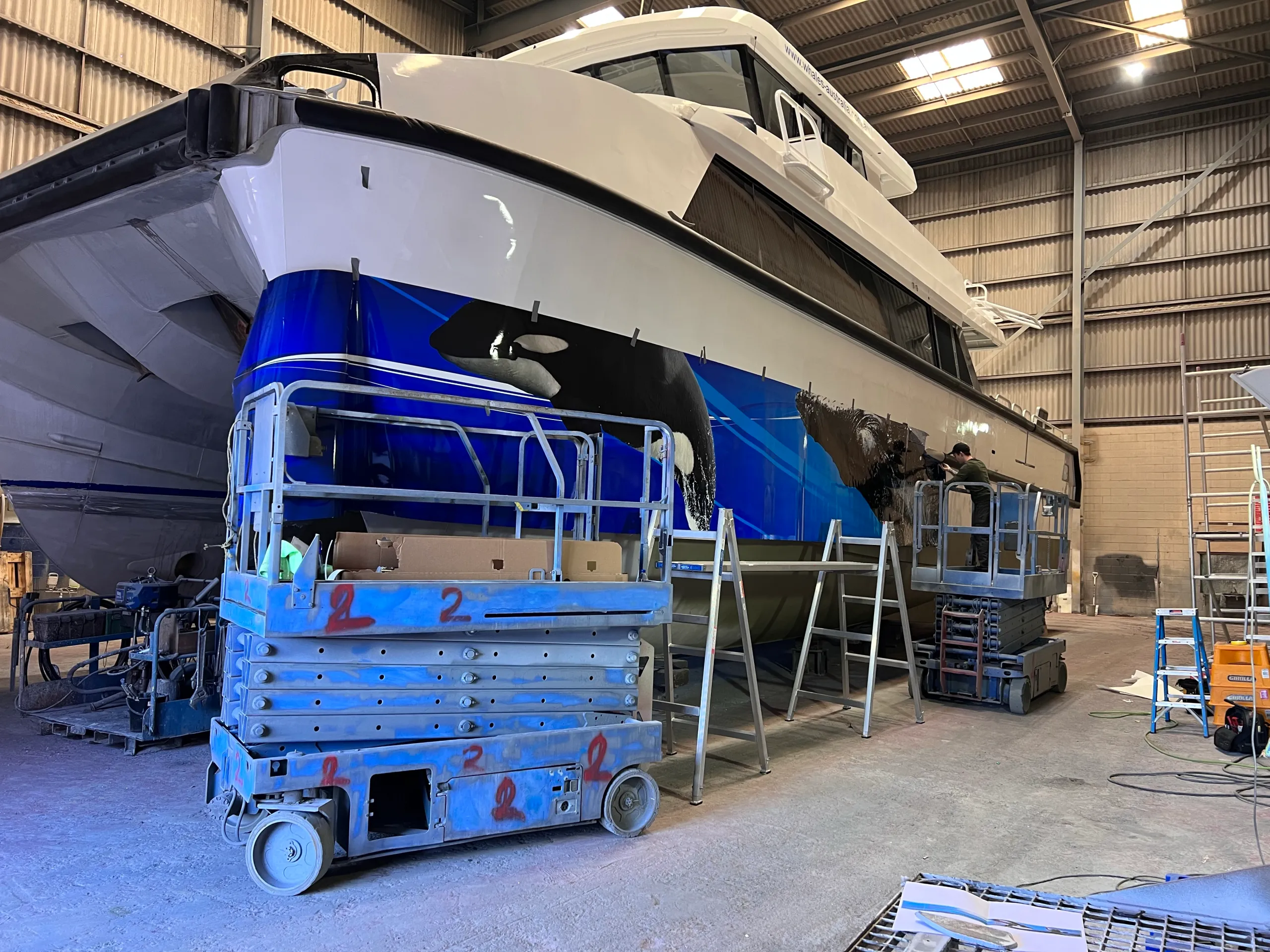 Blue whale graphics partly fitted to the Naturaliste Charters catamaran beside access platforms