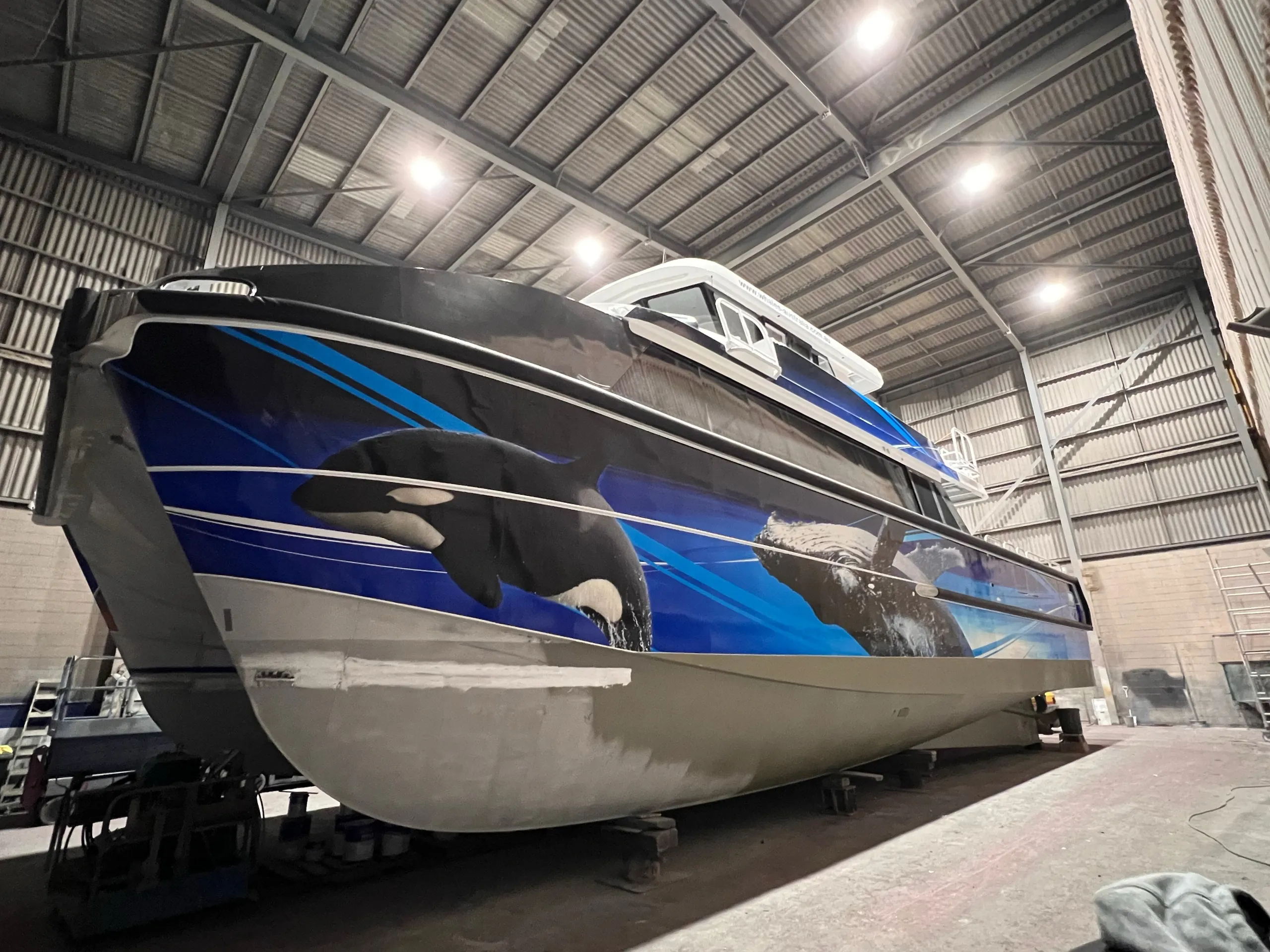 Orca and whale graphics on the Naturaliste Charters catamaran bow during its refit