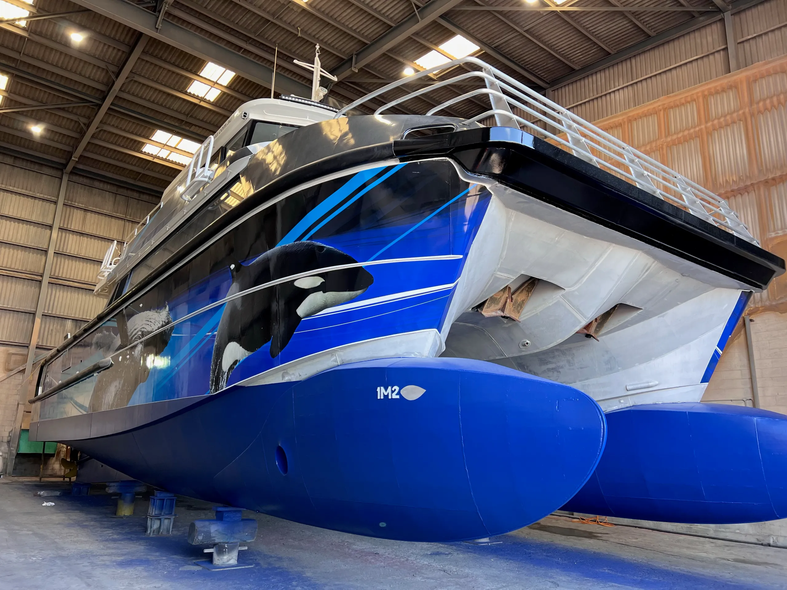 Naturaliste Charters catamaran bow with blue lower hulls and orca graphics in a shed