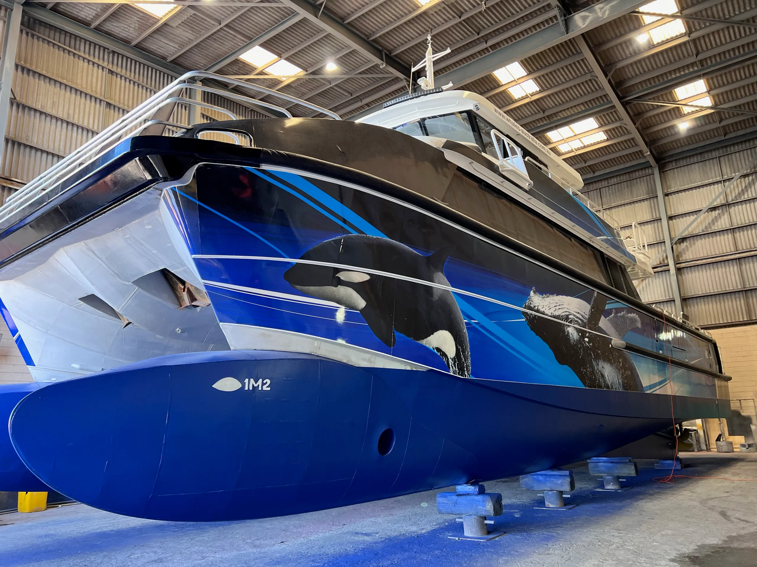 Blue twin hulls and orca graphics on the Naturaliste Charters catamaran, viewed from the bow