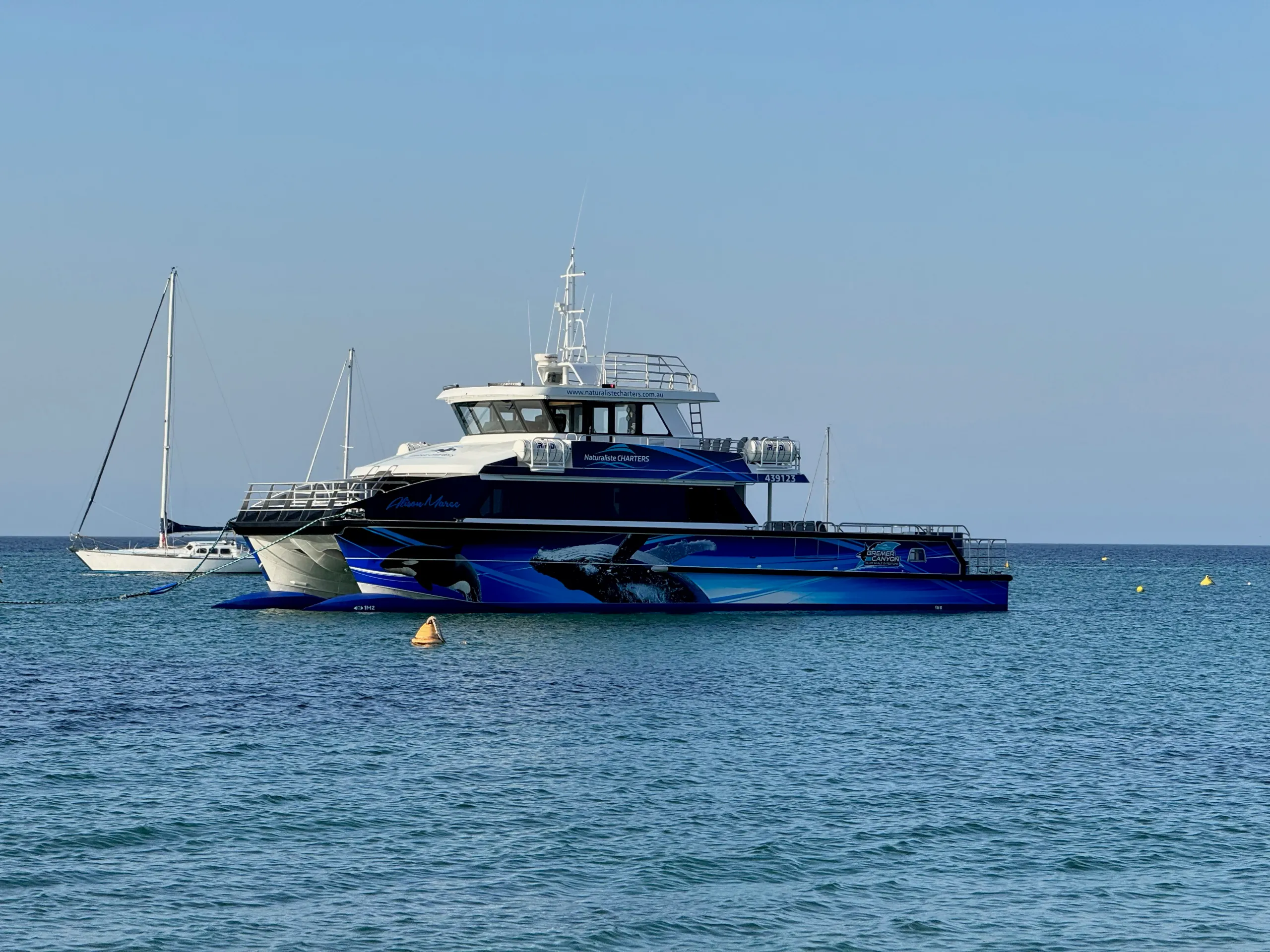 Wide view of the Naturaliste Charters catamaran Alison-Maree afloat beside a sailing boat