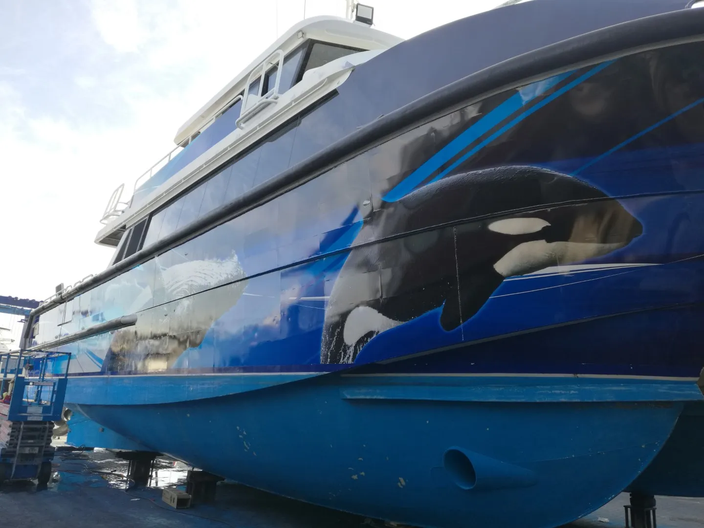 Close bow-quarter view of orca graphics on the Naturaliste Charters catamaran outdoors