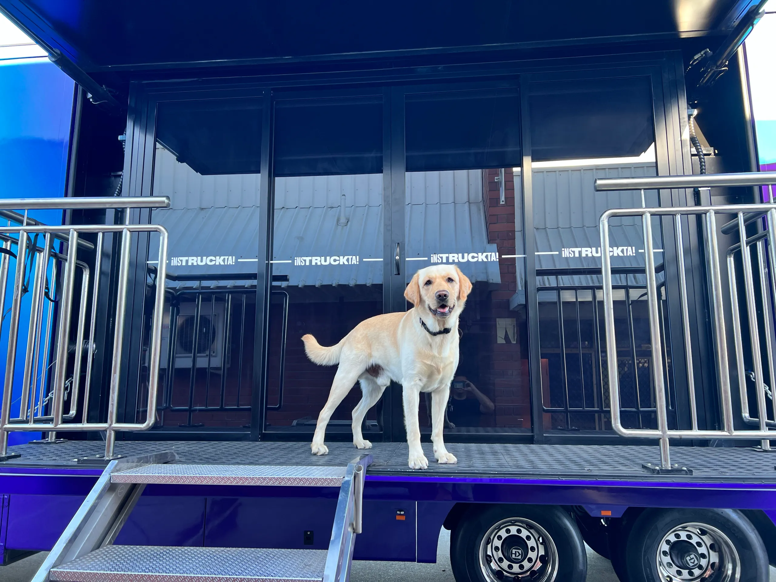 Workshop dog resting on the trailer entry platform