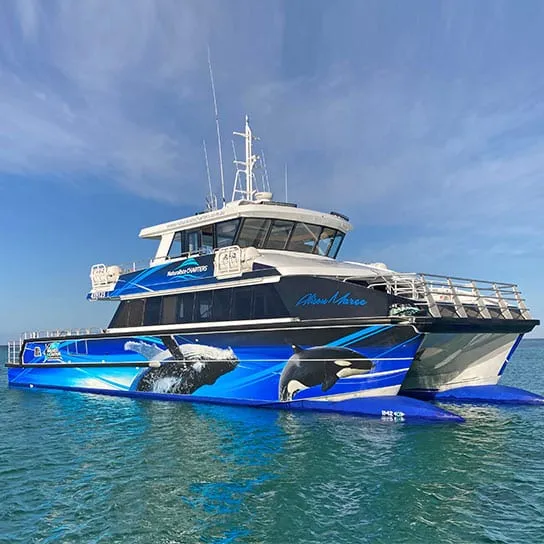 Naturaliste Charters whale-watching catamaran with its printed hull wrap, on the water