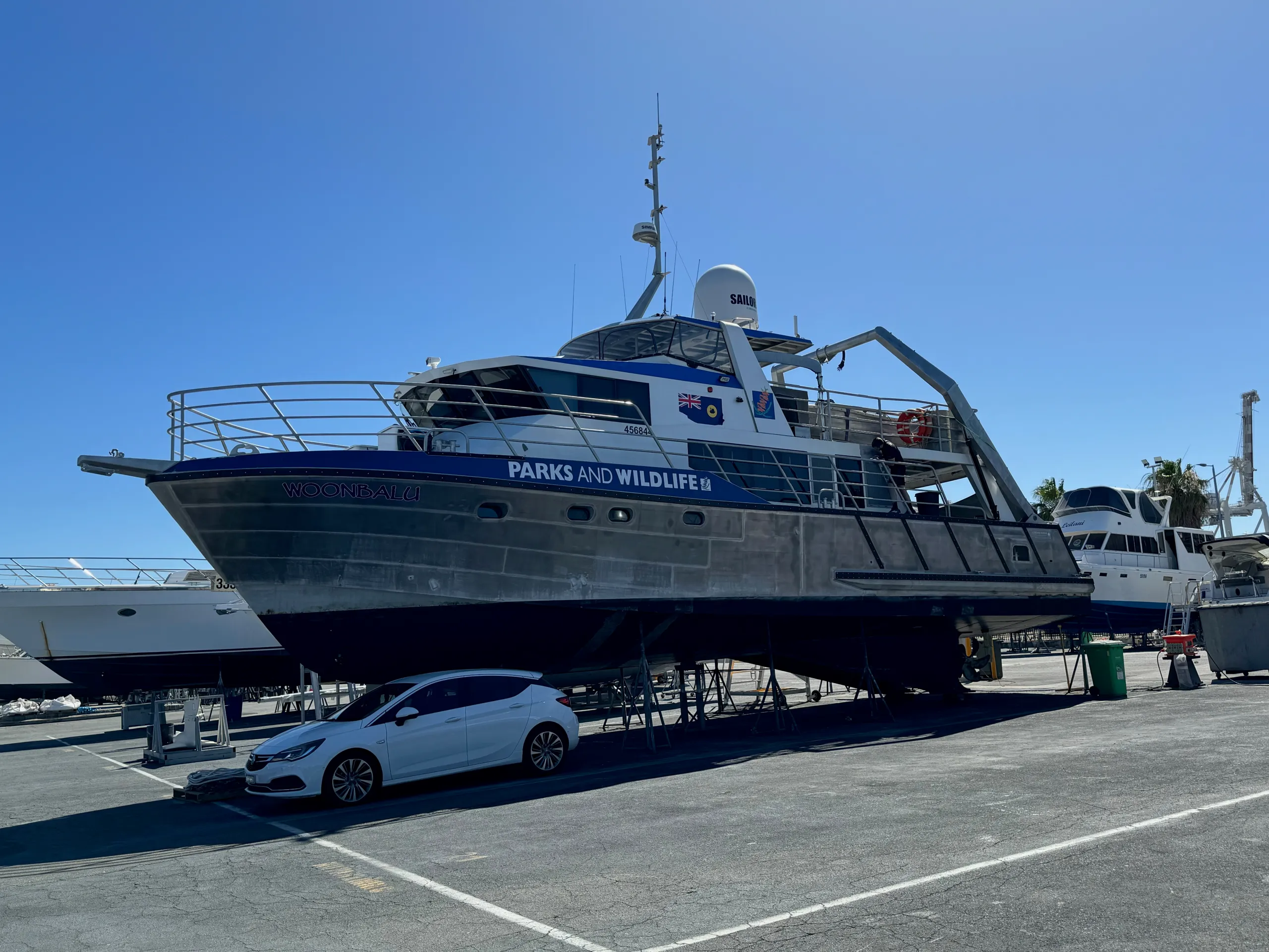 Woonbalu on a hardstand with blue Parks and Wildlife lettering along its side