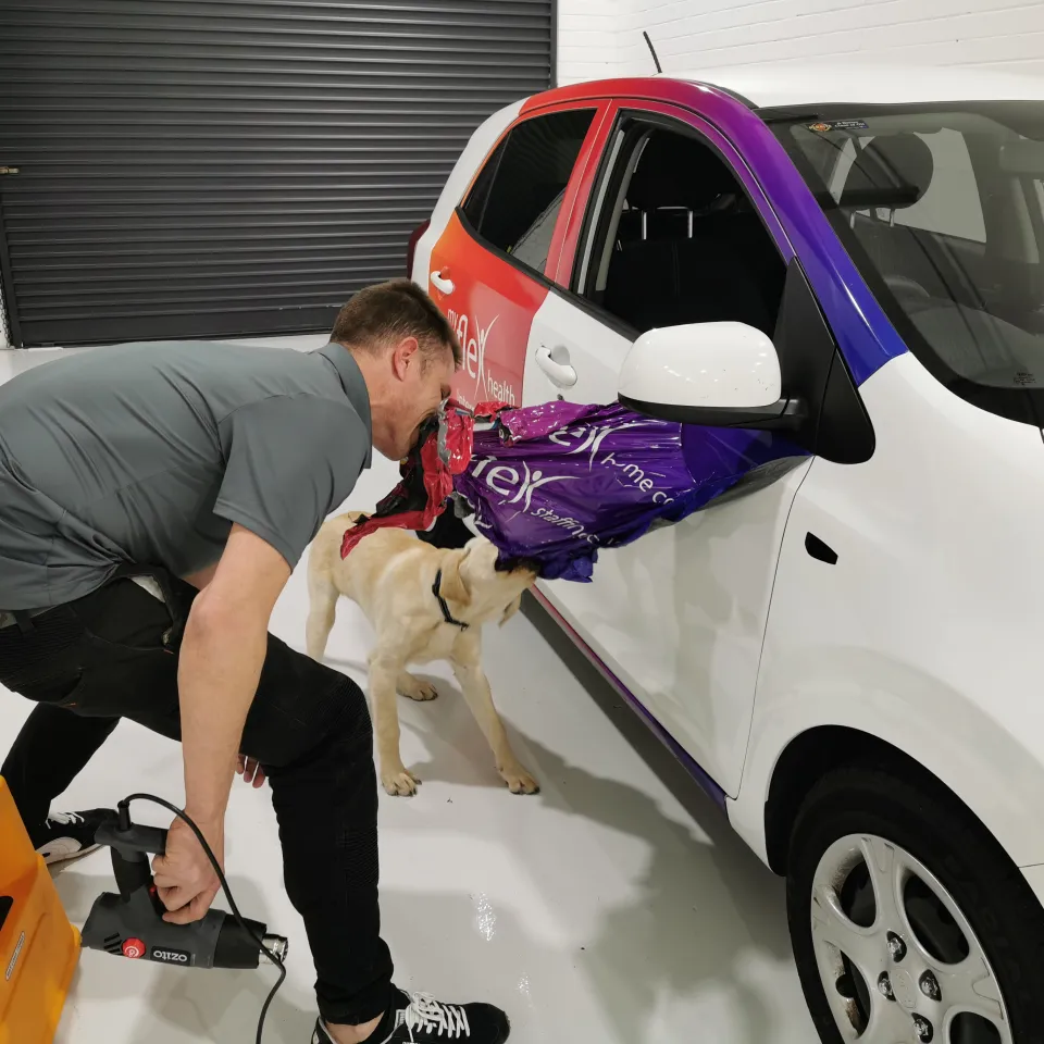 Installer beside a partly wrapped small white car and a dog in the workshop