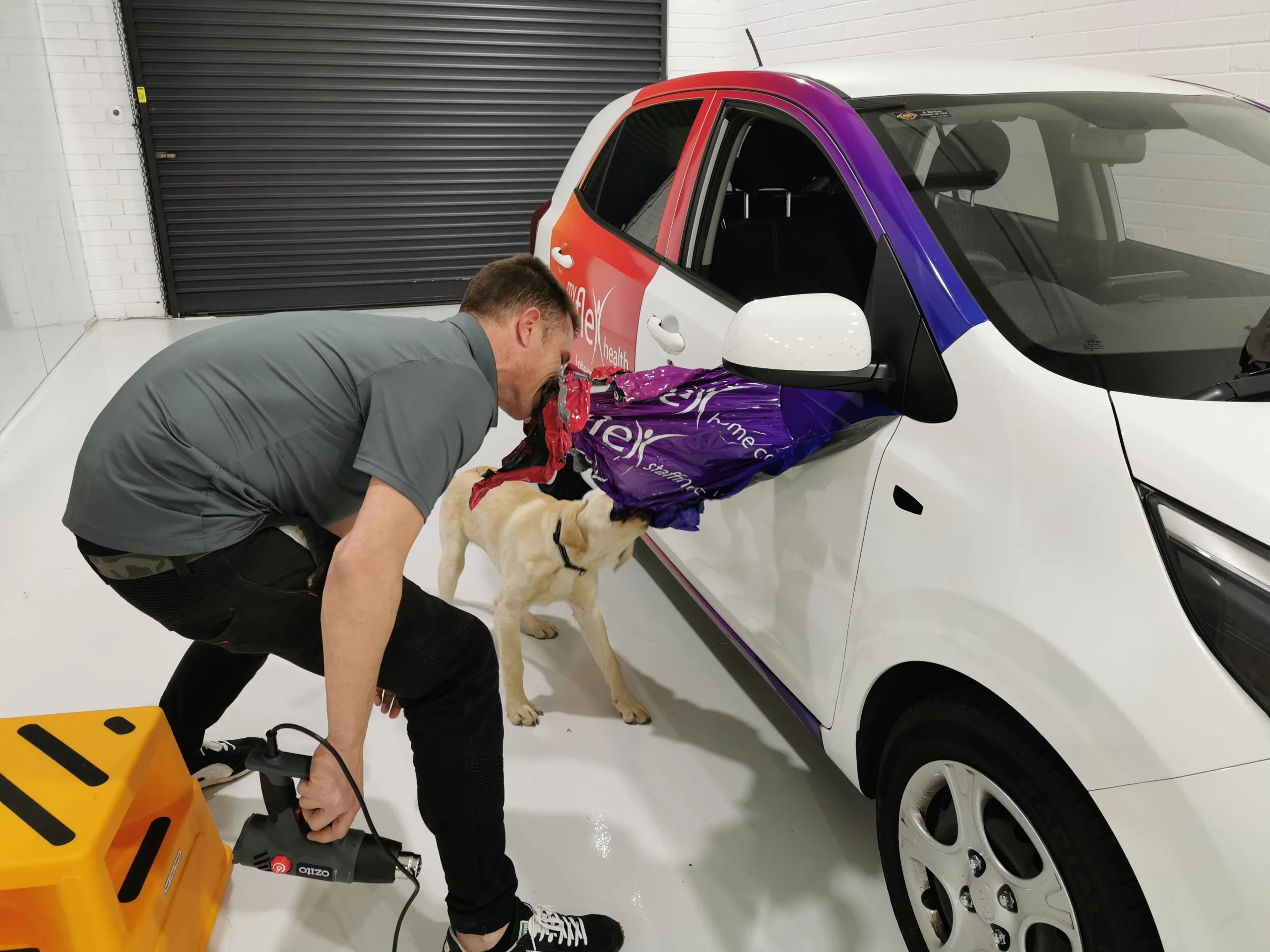 Installer beside a partly wrapped small white car and a dog in the workshop