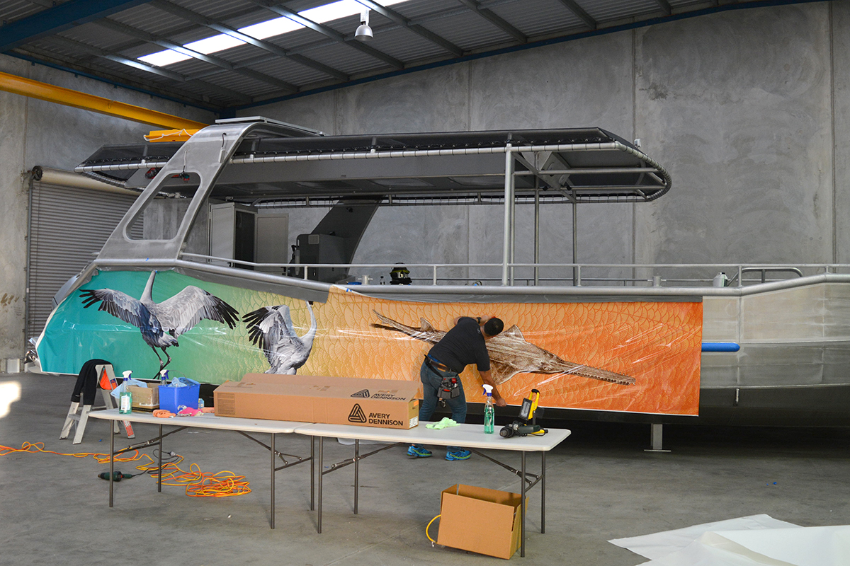 boat 14m catamaran - parks and wildlife - vinyl wrap car